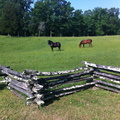 Oscar Blevins Farm, Big South Fork - 44